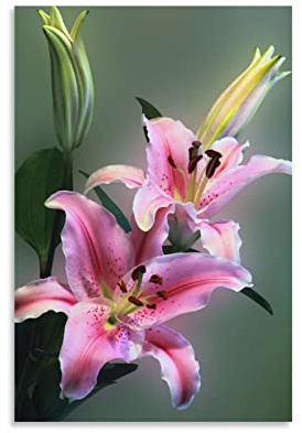 Poster nature floral sur toile avec fleurs de lys roses et art mural moderne pour chambre à coucher 40 x 60 cm