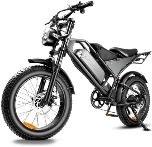 E-Bike Herren Damen 20 Zoll Fat Tire Elektrofahrrad, 48V 18.2Ah Akku E-Mountainbike für Lange Reichweite, Scheibenbremsen Stereofederbeine, 7-Gang-Schaltung, Retro Design Pedelec Offroad City Cruiser