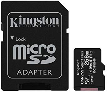 Kingston - Scheda di memoria microSDHC Canvas Select Plus da 256 GB, 100 MB/s in lettura A1 classe 10 UHS-I + adattatore con confezione senza frustrazione (SDCS2/256 GBET)