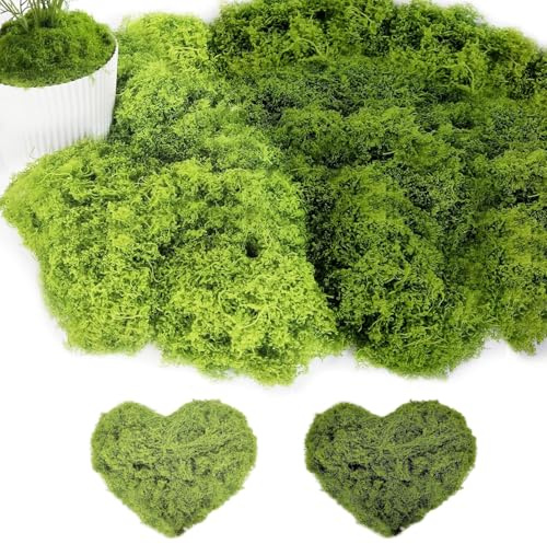 YIMINI Musgo Artificial, Musge para Manualidades, Musgos Decorativo, Musgoes a Granel, Hojas Musg Reutilizable, para Bricolaje Paisajes (2, Verde Oscuro,Verde Claro, 200g)