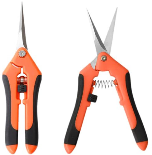 XBFOCNH 2PCS Forbici da Potatura in Acciaio Inossidabile Forbici Giardinaggio Cesoie Potatura Manuale per Frutta Fiori (Arancione)