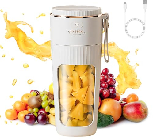 Tragbarer Mixer 340ml - Kabelloser Mini-Mixer Persönlicher Smoothie Maker to Go - Leistungsstarker Standmixer - Wiederaufladbar mit Auslaufsicherem Deckel & Stroh - Vakuum Antioxidantien Saftflasche