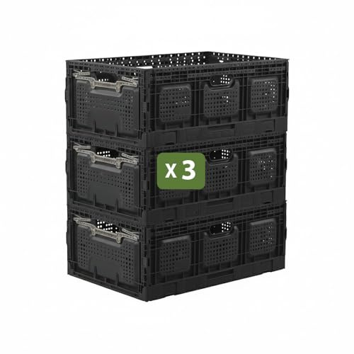 Box and beyond - Lot 3 Bacs Rangement Pliables - 40 x 60 x 25,9 cm - 55L - Charge 20 kg - Stockage, Outillage, Bricolage - Rangement Facile - Robuste - Garage, Cave, Buanderie