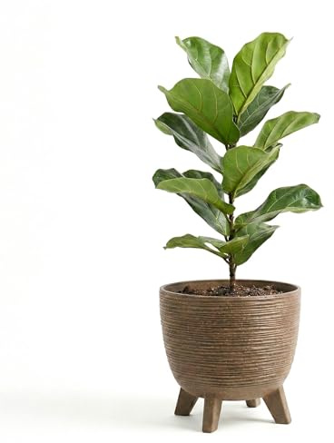 GEEZY Brown Plant Pot with Legs, 39.5 cm - Weather Resistant Indoor & Outdoor Planter - Modern Textured Flower Pot for Living Room, Garden & Patio