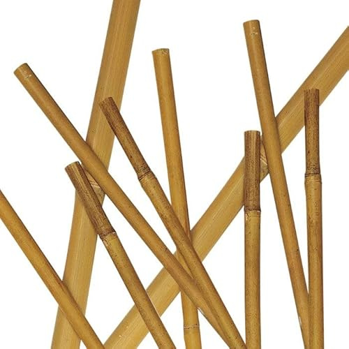 Canne di bambù naturali, per sostegno piante, orto, decorazione e arredamento (10, 180 cm/Ø 18/20 mm)