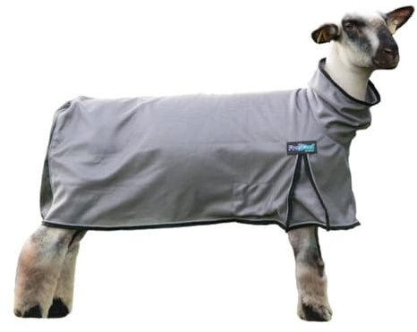 ProCool™ Sheep Blanket with Reflective Piping, Large, Gray