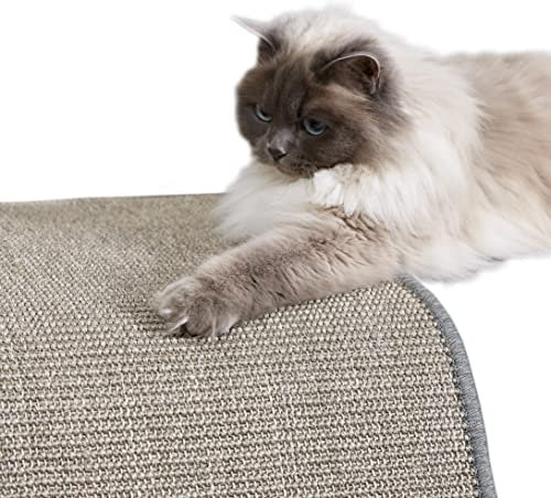 Carpido Kratzmatte für Katzen - Fußmatte Sisal Kratzteppich - natürliche Sisalmatte robust - Vorleger aus 100% Sisal - Katzenkratzmatte grau 60 x 80 cm