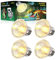 Bonlux Lot de 4 ampoules chauffantes E26/E27 - 50 W - Intensité variable - 220 V UVA + UVB - Spectre complet - 2700 K - Pour tortue, animaux de compagnie, reptiles, lézards et amphibiens