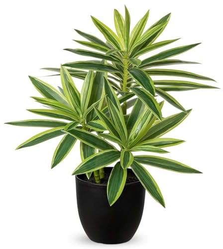Oairse Piante finte da 41 cm in vasi neri, pianta artificiale di dracaena decorativa piante in vaso finte realistiche piante da interno per casa, bagno, soggiorno, cucina, mensola, decorazione da