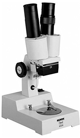 Dispensadores de delfín hn231-bk Blomus Escobilla de repuesto, color negro