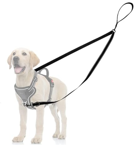 Two Point Control Dog Leash, Reflective Double Leash for No Pull Harness with Soft Handle No Tangle 4ft Dog Leashes Converts to Single Training Leashes for Medium Large Dogs (Black)
