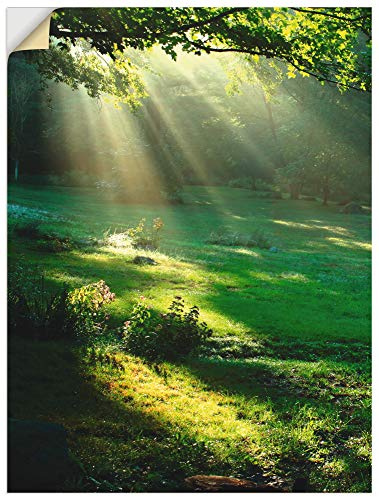 ARTLAND Wanddeko Wandtattoo selbstklebende Vinylfolie 90x120 cm Natur Landschaft Wald Sonne Wiese Landhaus Modern T5XX