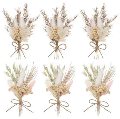 Livdouyu 6 Bündel Trockenblumenstrauß Klein, Trockenblume, Getrocknete Blumen Trockenblumen Klein für Bilderrahmen DIY Heim-Party Und Hochzeitsdekoration