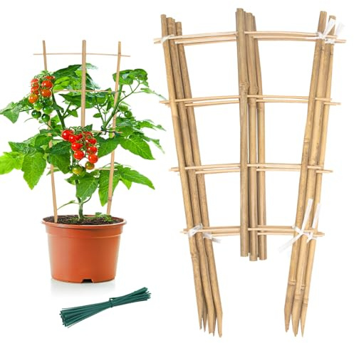 Bambus-Spalier für den Garten, 40,6 cm, fächerförmig, kleine Pflanzen-Rankgitter, Naturholz, Rankgitter für Kletterpflanzen, Orchidee, Monstera, Topfpflanzen, 6 Stück