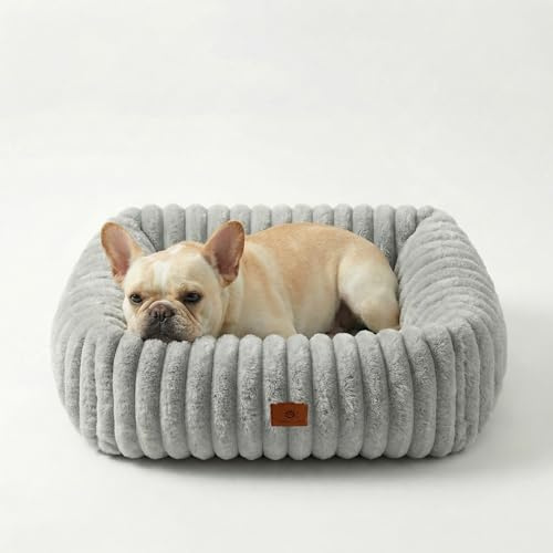 CareCooo Hundebett kleine & mittlere Hunde & Katzenbett, Grau, M 63x53x18 | Waschbares Hundekissen, Kaninchen-Kunstfell, Rutschfest, Für kleine und mittelgroße Hunde, Katzen