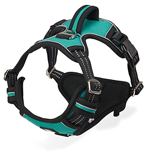 Dociote Anti Zug hundegeschirr Brustgeschirr Sicherheitsgeschirr mit Griff und Reflektorstreifen No Pull Geschirr für mittele & große Hunde L Türkis