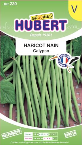 Graines de Haricot Nain Calypso - 150 grammes | Sans fil