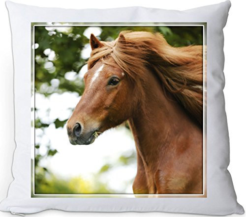 Nanyuk +++ ISLÄNDER Islandpferd Pferd - Kuschelkissen/Kissen | Pillow/Dekokissen - ISI 40