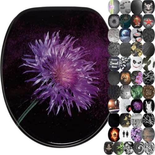 Sanilo WC Sitz mit Absenkautomatik & Quick-Release aus Holz, Purple Dust | Toilettendeckel mit Soft-Close & Schnellverschluss, per Knopfdruck abnehmbar, einfache Montage von oben inkl. Schraubendreher