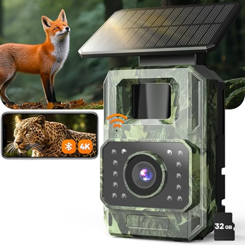Assark Wildkamera mit Handyübertragung App, 4K 64MP WIAN Solar Wildtierkamera mit Nachtsicht Bewegungsmelder, Wiederaufladbare 6000mAh Lithium-Batterie, 0,1S Auslöser mit 32GB Speicherkarte, IP66