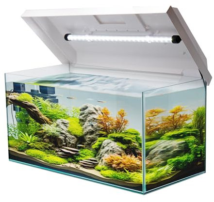 VIALIA Aquarium rechteckig mit Juwel LED Abdeckung weiß 60x30x30 cm, 54 Liter, Glasbecken für Fische und Wasserpflanzen, Aquarium Becken stoßfest