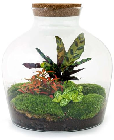 Flaschengarten Fat Joe - ROT - DIY-Pflanzen-Terrarium - 30cm hoch