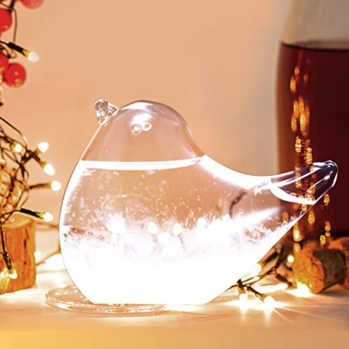 Nullnet Thermomètre En Verre, Prédicteur Météo, Station Météo, Baromètre, Prédicteur Météo Pour Bureau, Décoration de la Maison, Noël Saint Valentin Cadeaux d'anniversaire