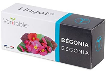 Lingot® Begonia - Compatibile con Orto da interni autentico® ed Exky® - Ricarica pronta all'uso - Substrato con semi incorporati..