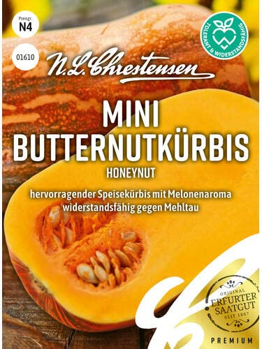 Chrestensen Butternutkürbis Honeynut Samen Orange | Mini-Butternut 300-600g, Süß Melonenaroma, Mehltau-Resistent Ertragreich, Cucurbita moschata Saatgut, Samenfest
