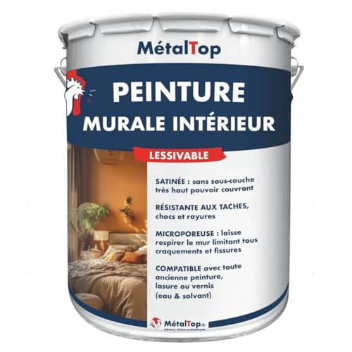 Metaltop - Peinture Murale Interieur - Gris clair - RAL 7035-1 L - Haute couvrance pour murs en plâtre, placo et béton, rénovation rapide.
