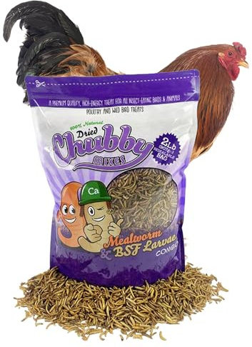 Chubby Mix Mealworm & Black Soldier Fly Larvae | 2 lbs | Non-GMO High-Protein Dried Insects for Chickens, Ducks & Wild Birds – Calcium-Rich Chicken Treats