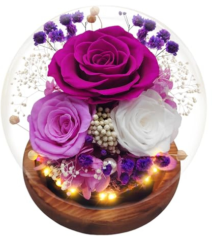 Rose Éternelle, Rose Eternelle sous Cloche, Rose Réelle Préservée en Dôme de Verre avec LED, Rose Fleurs préservées Cadeau pour Femme, Épouse, Anniversaire, Noël, Saint-Valentin, fête des Mères