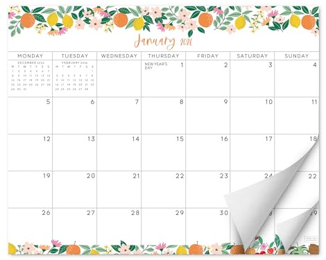 S&O - Calendario magnético afrutado para nevera de enero de 2026 a junio de 2027, calendario de refrigerador extraíble para rastrear eventos y citas, planificador magnético de 18 meses para nevera