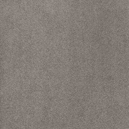 BRICOFLOR Teppichboden Meterware weich in 400 und 500 cm Breite ideal für Wohnzimmer und Kinderzimmer Kräuselvelours Auslegware grau (4 m x 6 m)