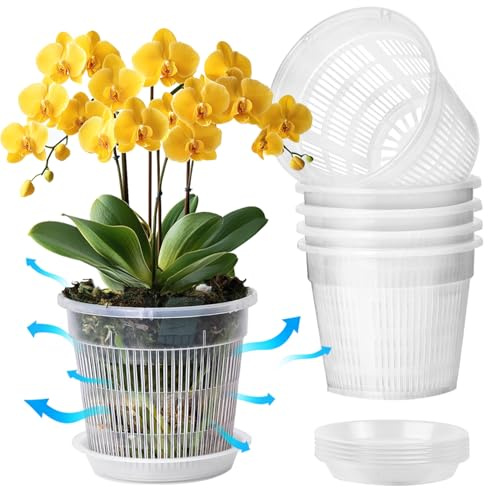 T4U 14cm Orchid Pots, Clear Plant Pots with Drainage Holes & Saucer, 6 Pack | Plastic Flower Pot with Slotted Drainage for Repotting, House Plant Pots Indoor Planter for Phalaenopsis Visible Root Health