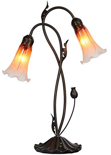 Bieye L30698 Lily Flower Blown Glass Accent Table Lamp for Living Room Bedroom Decoration (2-Light, Orange)