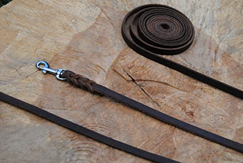 Petite Lederleine geflochten Antik-Leder 10mm x 10m ohne Schlaufe Silber Karabiner Schleppleine Fährtenleine