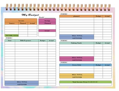 Salyeeluly Budgetplaner 2024 - Finanz-Organizer, Rechnungs-Organizer, Spesen-Tracker-Notizbuch - Rechnungsorganisator mit wasserdichtem Einband, Budget-Tagebuch, Finanzplaner, Haushaltsbuch