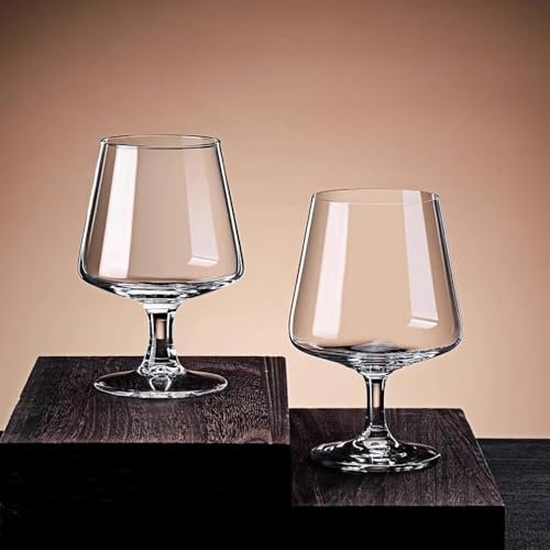 RYHMHA Lot de 2 verres à cognac en cristal de 425 g, parfaits pour whisky, cocktail, bière et boisson à la maison, fête, anniversaire, mariage
