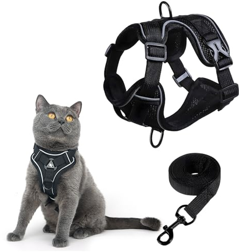 MOTIBACK Katzengeschirr mit Leine, Ausbruchsicheres Katzenhalsband mit Verstellbarem Geschirr und Leine, Atmungsaktives Katzengeschirr mit Reflektierenden Streifen für Einfache Kontroll (M)