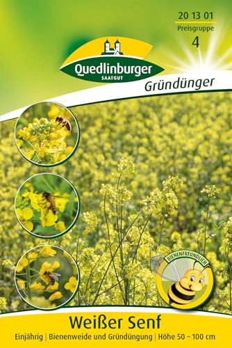 Quedlinburger 201301 Senf weißer (50 g) (Gründünger)