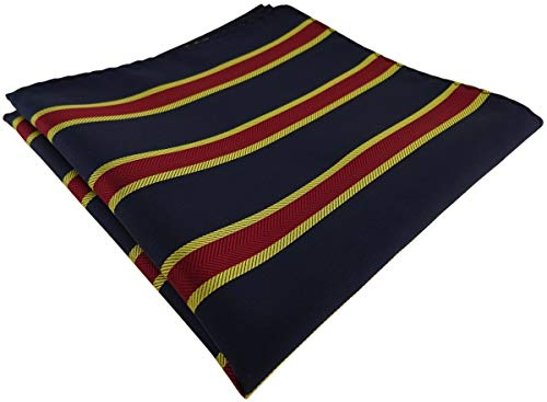 TigerTie Designer Einstecktuch in gestreift gemustert - Tuchgröße 30 x 30 cm