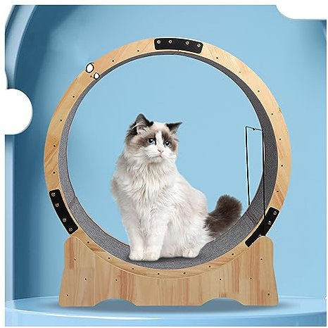 DIIDIIFF Katzenlaufrad für Hauskatzen, großes Katzenlaufband, mit Verriegelungsmechanismus, leises und geräuschloses Katzenaktivitätsspielzeug, Holz | Logfarbenes Katzenspielzeug