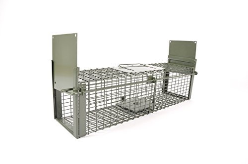 KrapTrap Rattenfalle Lebendfalle I extra groß & stabil I Siebenschläfer I Kleintierfalle I wiederverwendbar