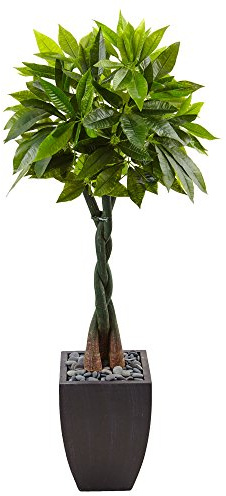 Nearly Natural 5ft. Money Artificial Tree in Black Square Planter