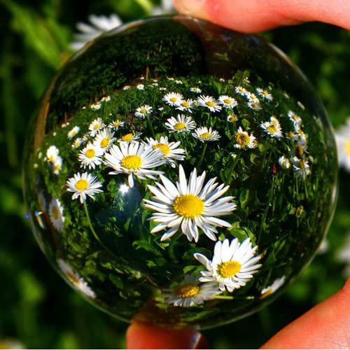 HXSCOO 30/40/50/60/70/80 mm Klarglas-Kristallkugel, heilende Glückskugel, Fotografie, Foto-Requisiten, Lensball-Dekoration, Geschenke (Size : 40mm)