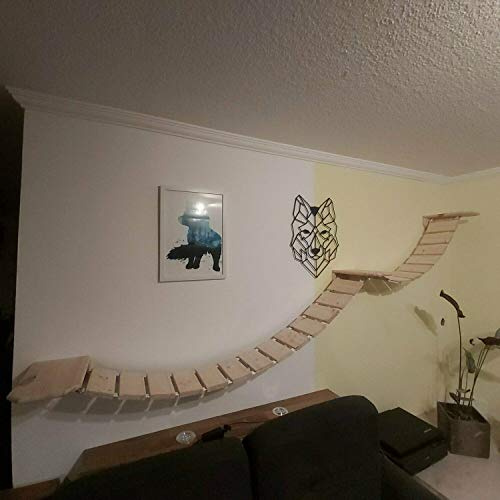 Medikratz Komplett-Set Katzen Hängebrücke; Große Katzen Kletterwand mit Wandpodesten auch für große Katzen geeignet (50cm + 150cm, Natur)