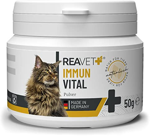ReaVET Immun Vital für Katzen 50g - für mehr Wohlbefinden & Vitalität I Natürliche Abwehrkraft, Stärkung des Immunsystem, Ohne künstliche Zusätze, Reich an Mineralien