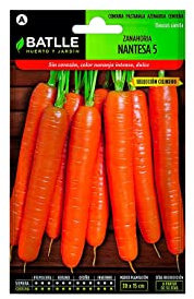 No Brand Semi Lechuga Cuatro Estacione 13716