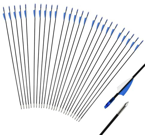 iMeshbean Fieberglaspfeile Pfeile für bogenschießen, 25 Stück Bogenpfeile Erwachsene 31 Zoll Fiberglaspfeil Jagdpfeile für Bogen, Recurvebogen, Sportbogen